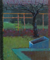 Appelboom, laat in de winter